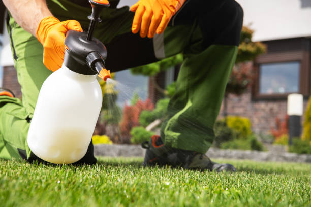 Best Affordable Pest Control Services  in Bass Lake, IN