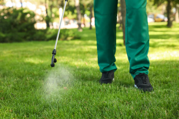 Best Pest Control Near Me  in Bass Lake, IN