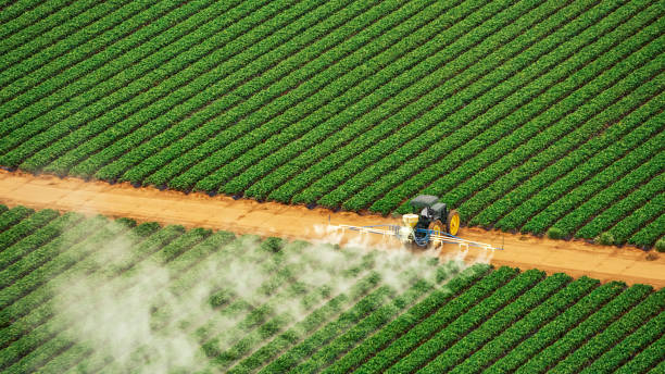 Best Mosquito Control Services  in Bass Lake, IN