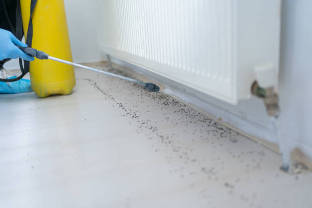 Best Pest Removal Services  in Bass Lake, IN